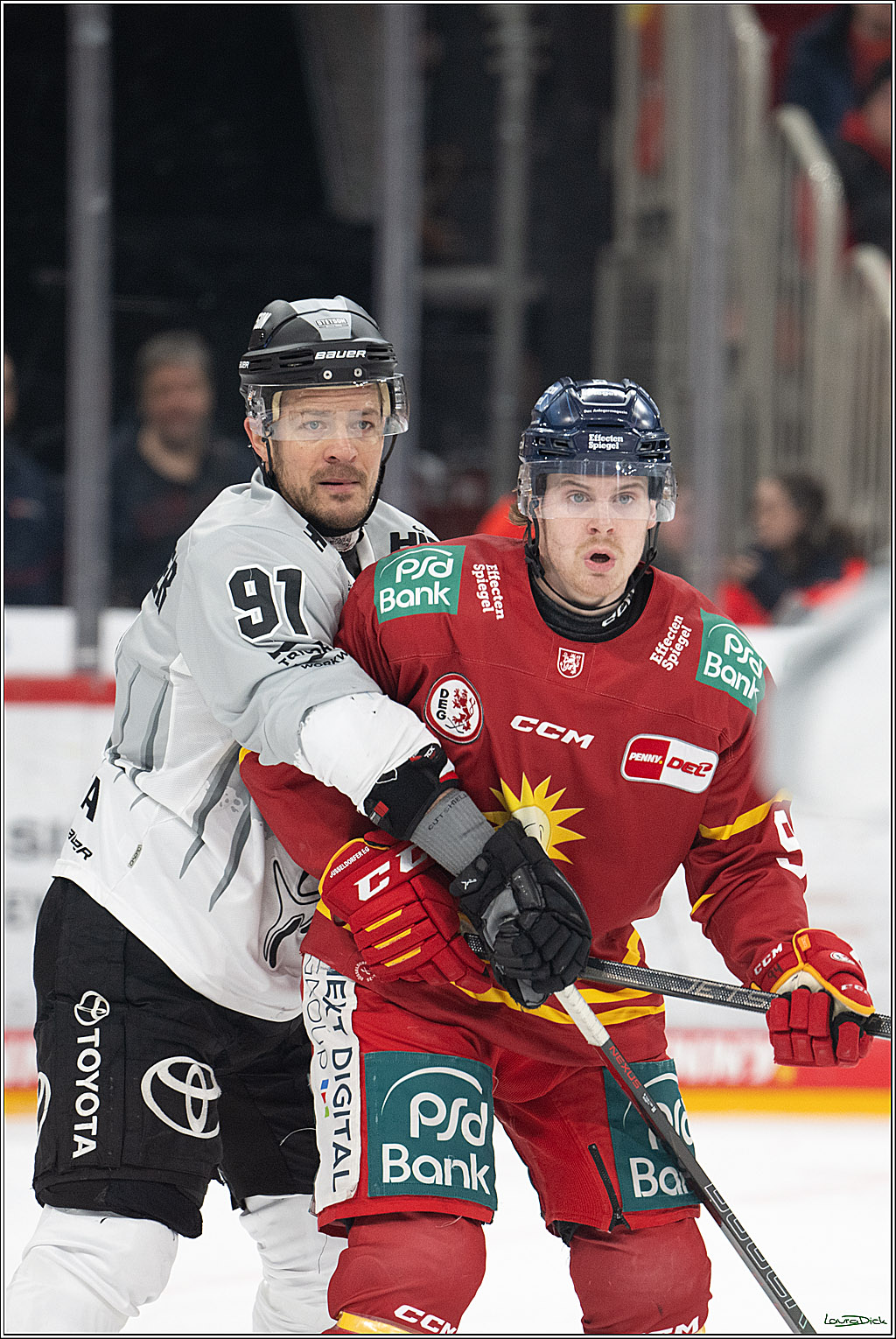 PENNY DEL; Duesseldorfer EG- Koelner Haie; Duesseldorf, 24.01.2025